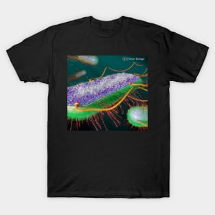 E.coli Cross-Section T-Shirt